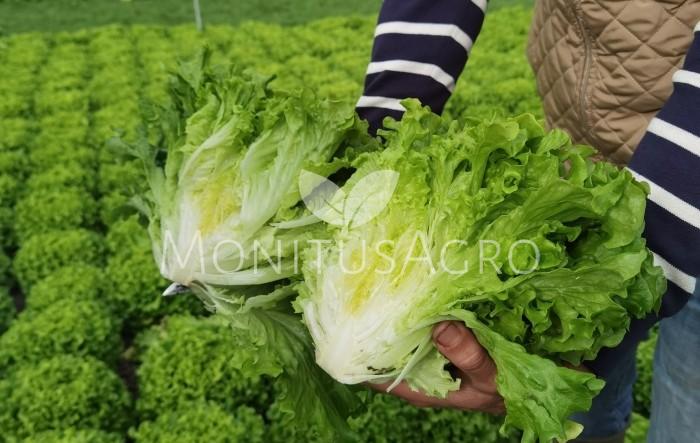 MONITUS AGRO d.o.o.