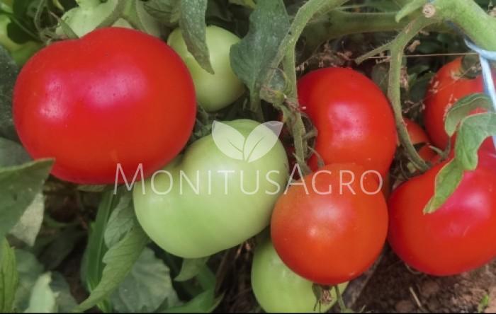 MONITUS AGRO d.o.o.