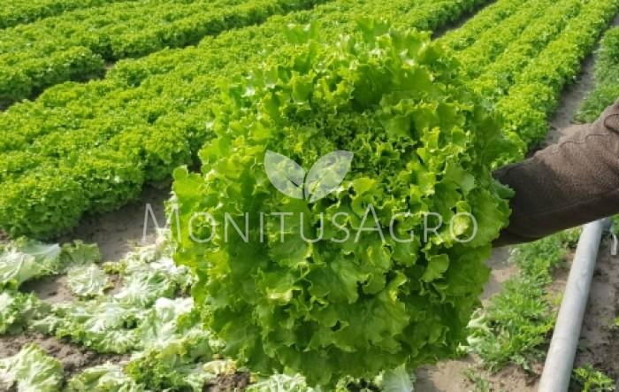 MONITUS AGRO d.o.o.