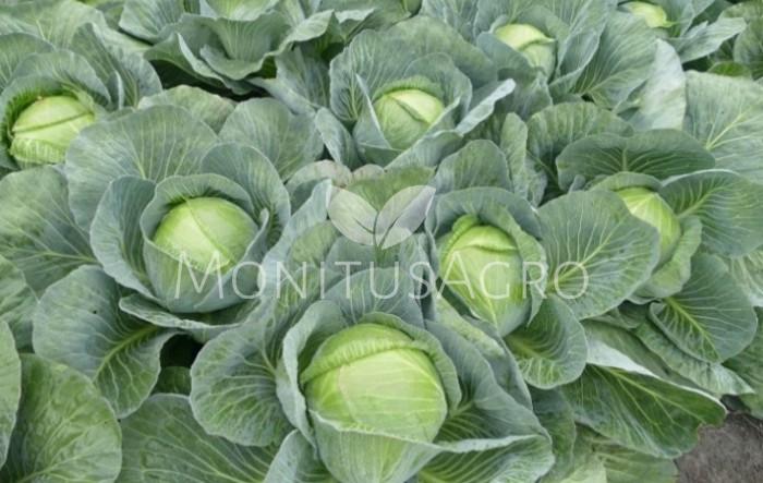 MONITUS AGRO d.o.o.