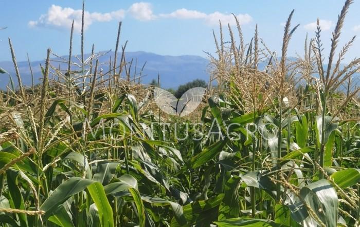 MONITUS AGRO d.o.o.