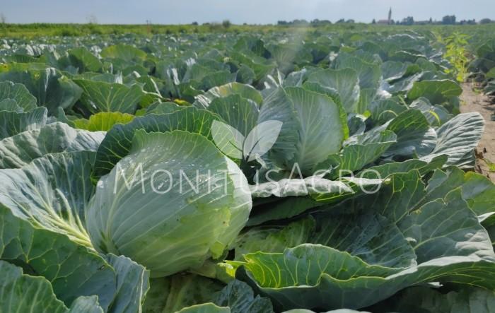 MONITUS AGRO d.o.o.