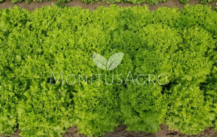 MONITUS AGRO d.o.o.
