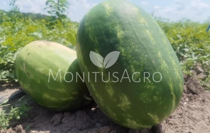 MONITUS AGRO d.o.o.