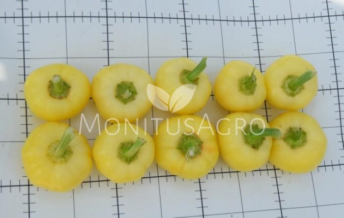 MONITUS AGRO d.o.o.