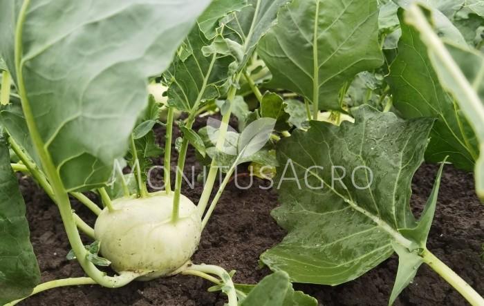 MONITUS AGRO d.o.o.