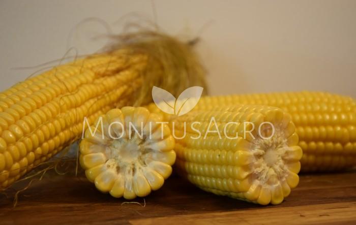 MONITUS AGRO d.o.o.