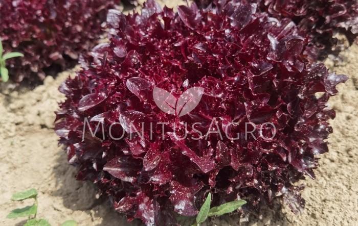MONITUS AGRO d.o.o.
