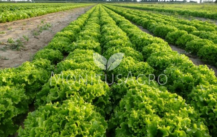 MONITUS AGRO d.o.o.
