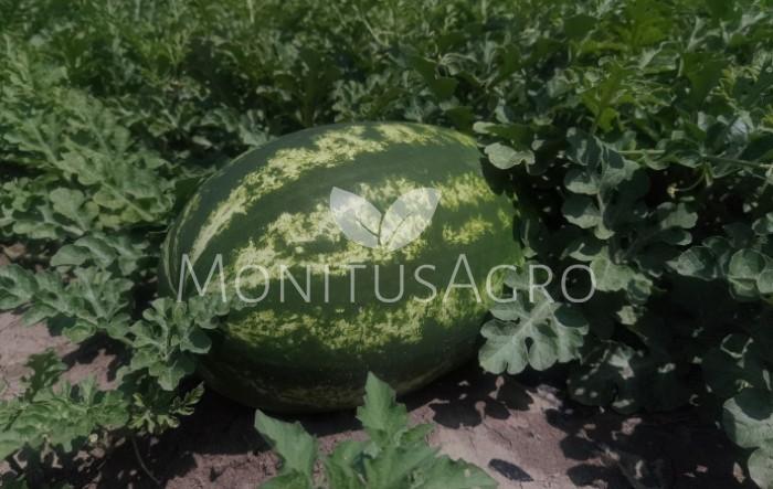 MONITUS AGRO d.o.o.