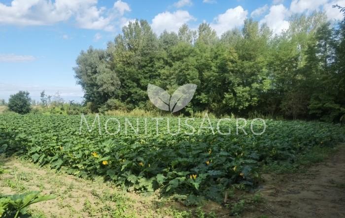 MONITUS AGRO d.o.o.