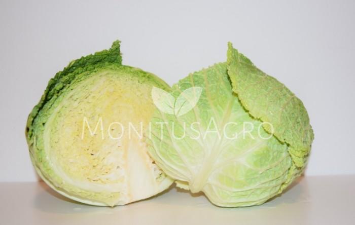 MONITUS AGRO d.o.o.