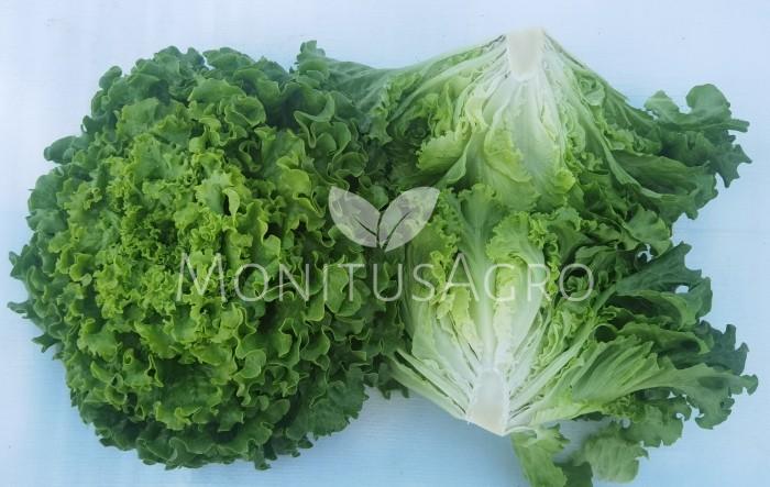MONITUS AGRO d.o.o.