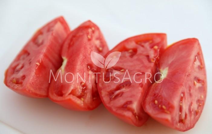 MONITUS AGRO d.o.o.