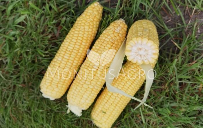 MONITUS AGRO d.o.o.