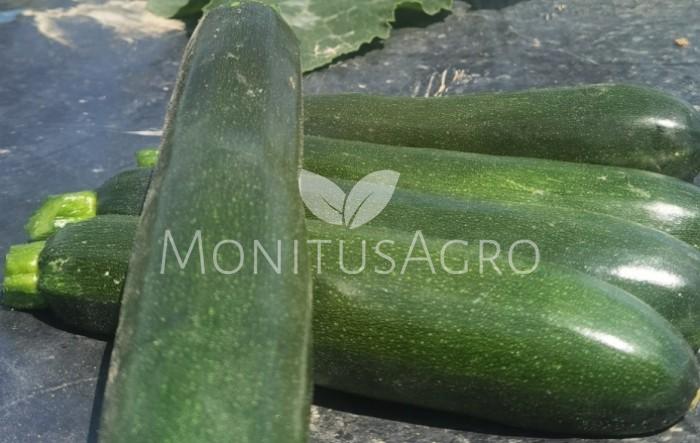 MONITUS AGRO d.o.o.