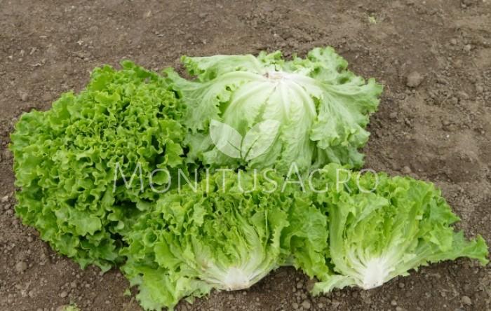 MONITUS AGRO d.o.o.