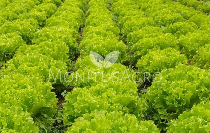 MONITUS AGRO d.o.o.