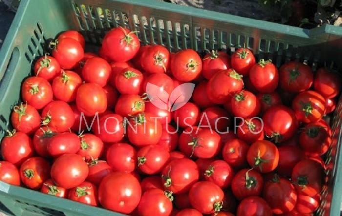 MONITUS AGRO d.o.o.