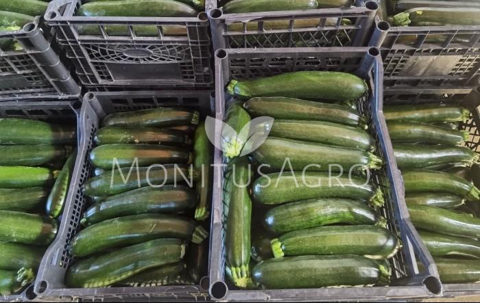 MONITUS AGRO d.o.o.