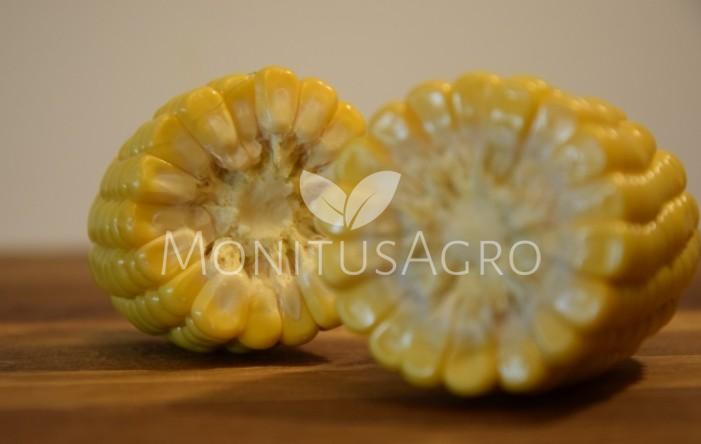 MONITUS AGRO d.o.o.
