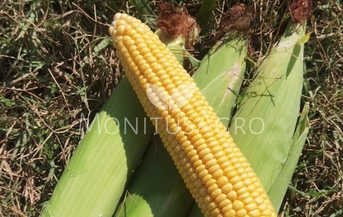 MONITUS AGRO d.o.o.