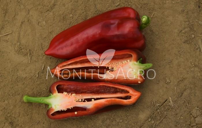 MONITUS AGRO d.o.o.