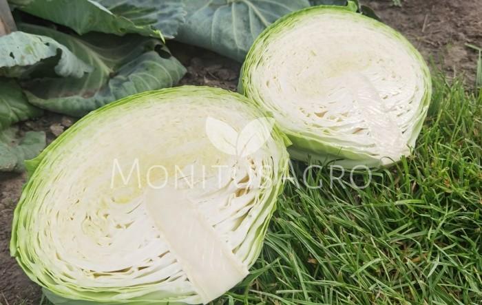 MONITUS AGRO d.o.o.