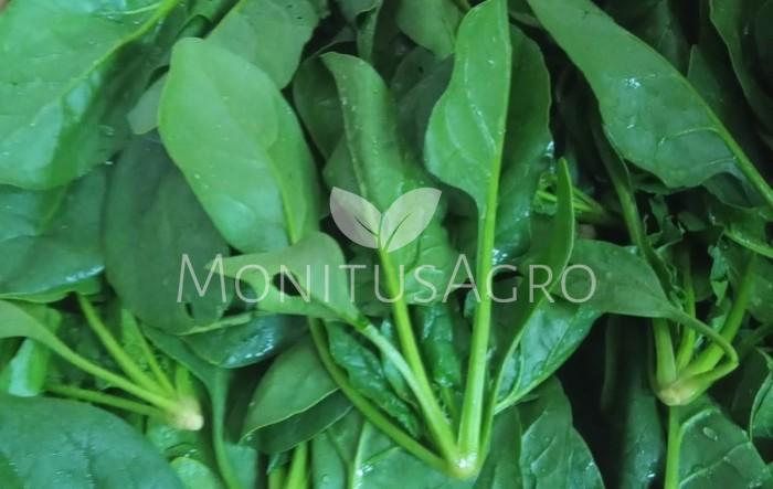 MONITUS AGRO d.o.o.