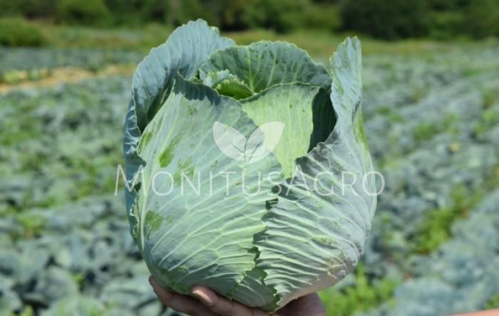 MONITUS AGRO d.o.o.