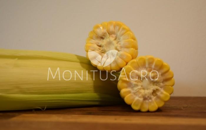 MONITUS AGRO d.o.o.