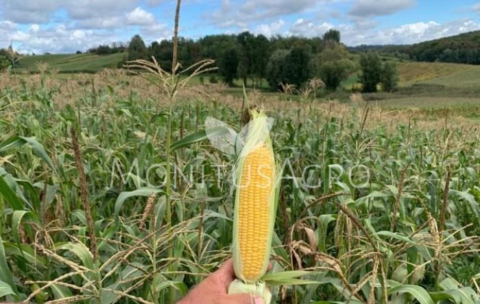 MONITUS AGRO d.o.o.