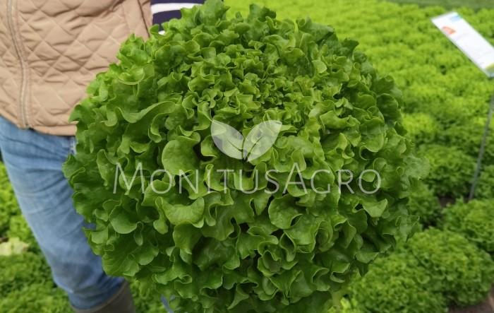 MONITUS AGRO d.o.o.