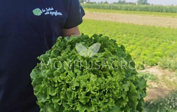 MONITUS AGRO d.o.o.
