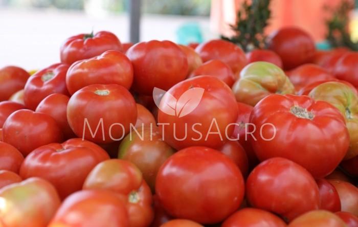 MONITUS AGRO d.o.o.