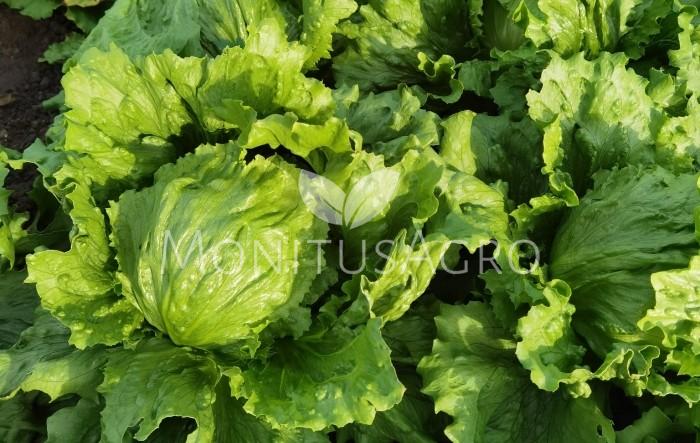 MONITUS AGRO d.o.o.
