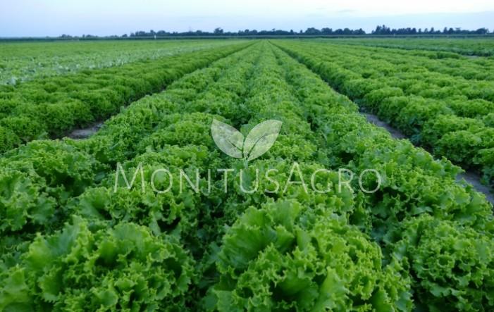 MONITUS AGRO d.o.o.