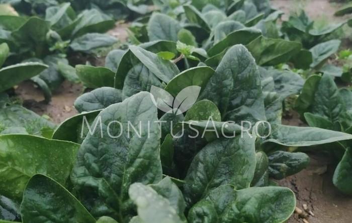 MONITUS AGRO d.o.o.