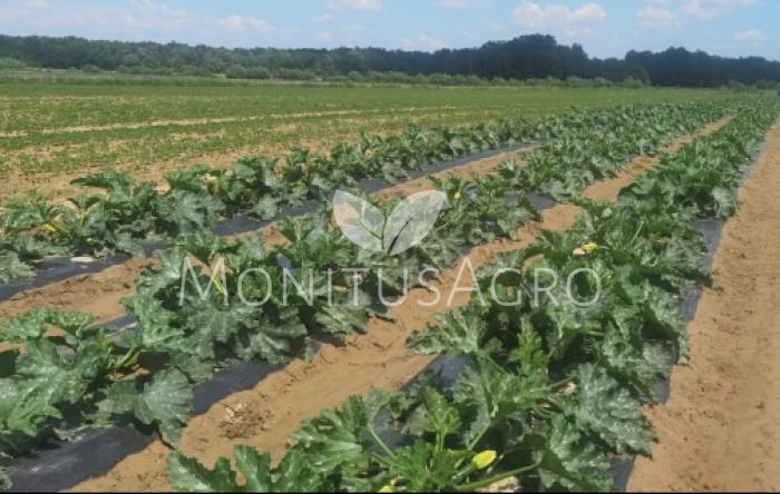 MONITUS AGRO d.o.o.