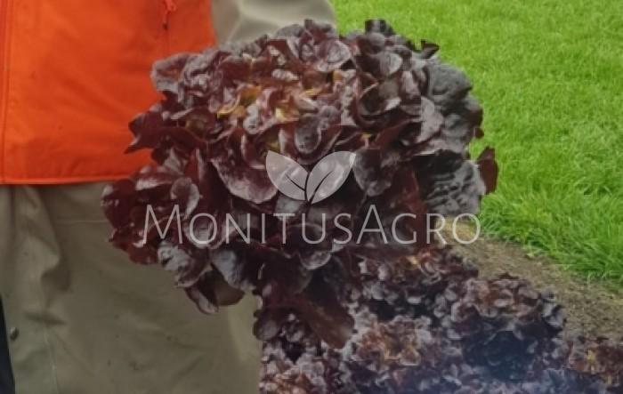MONITUS AGRO d.o.o.