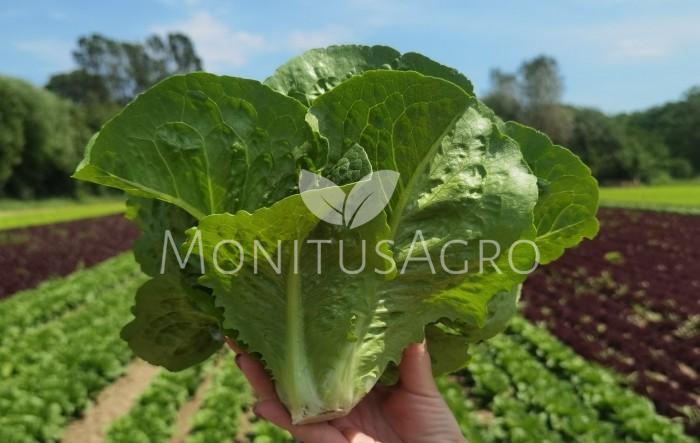 MONITUS AGRO d.o.o.