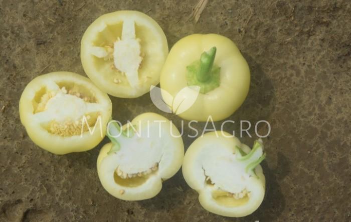 MONITUS AGRO d.o.o.