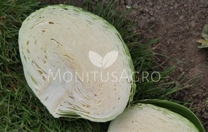 MONITUS AGRO d.o.o.