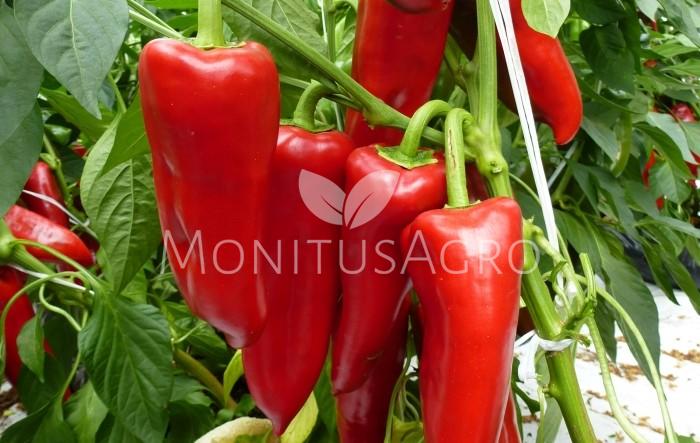 MONITUS AGRO d.o.o.