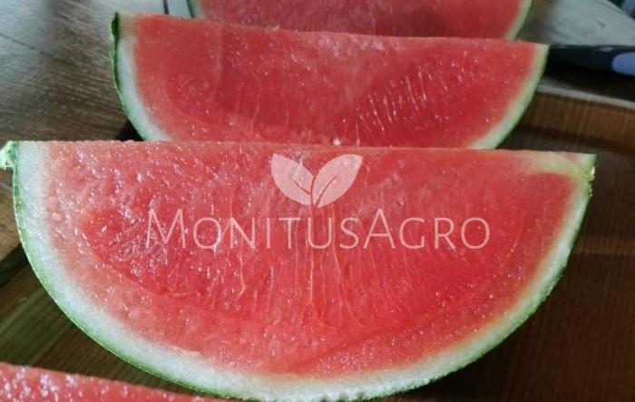 MONITUS AGRO d.o.o.