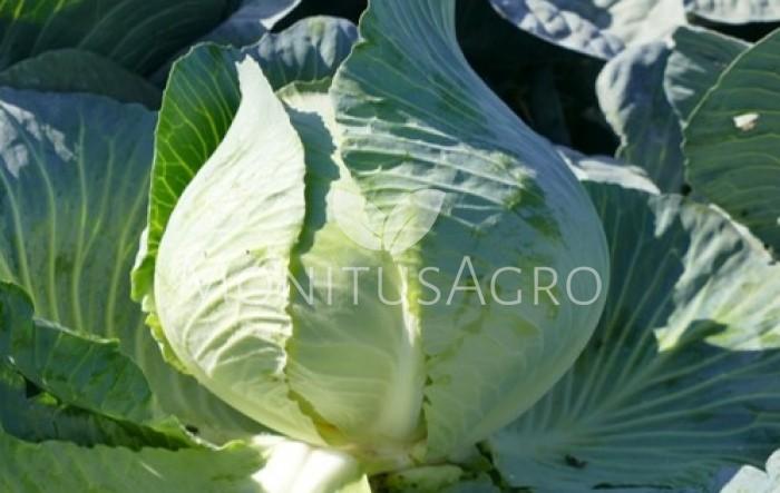 MONITUS AGRO d.o.o.