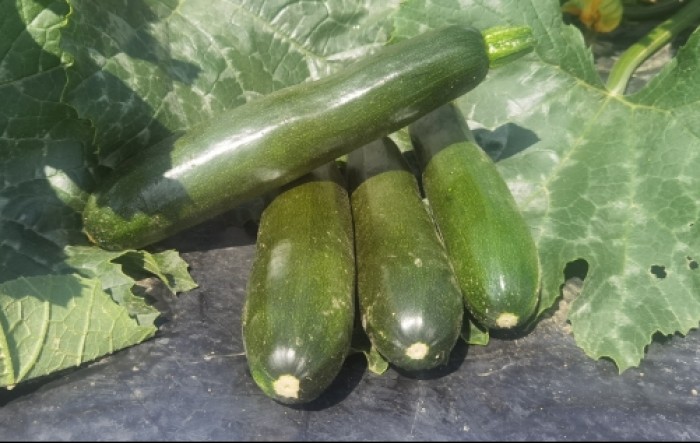 MONITUS AGRO d.o.o.