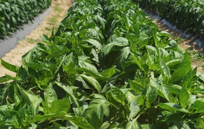 MONITUS AGRO d.o.o.