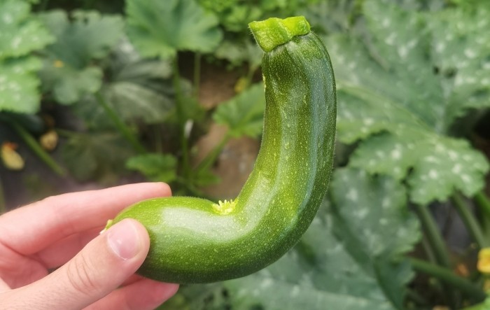 MONITUS AGRO d.o.o.