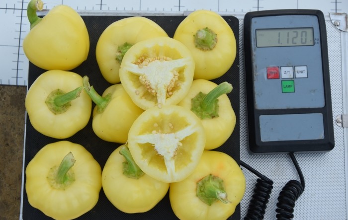 MONITUS AGRO d.o.o.
